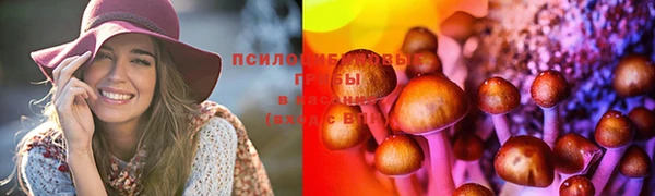 марки lsd Балабаново