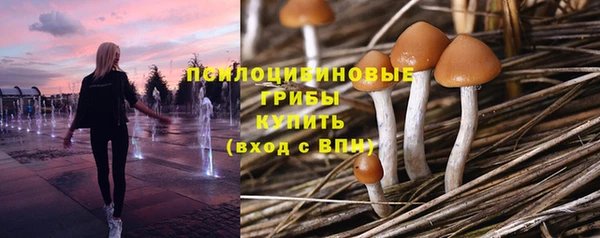 твердый Аркадак